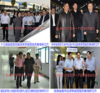 领导关怀