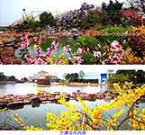 天康园区风景
